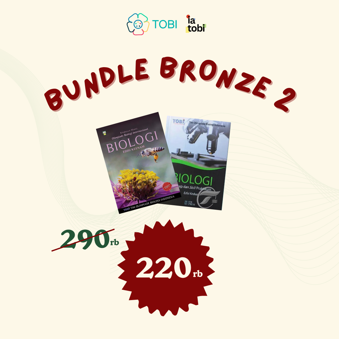 Bundle Bronze 2