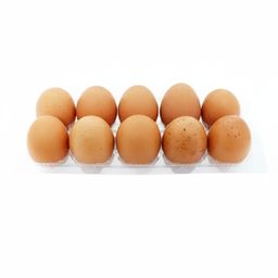 Telur Ayam Negeri 10 Butir