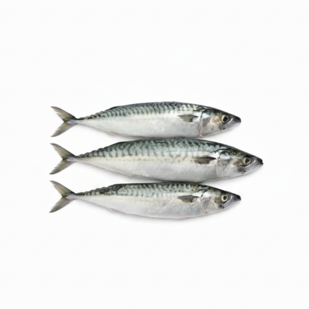 Ikan Kembung Banjar 400gram