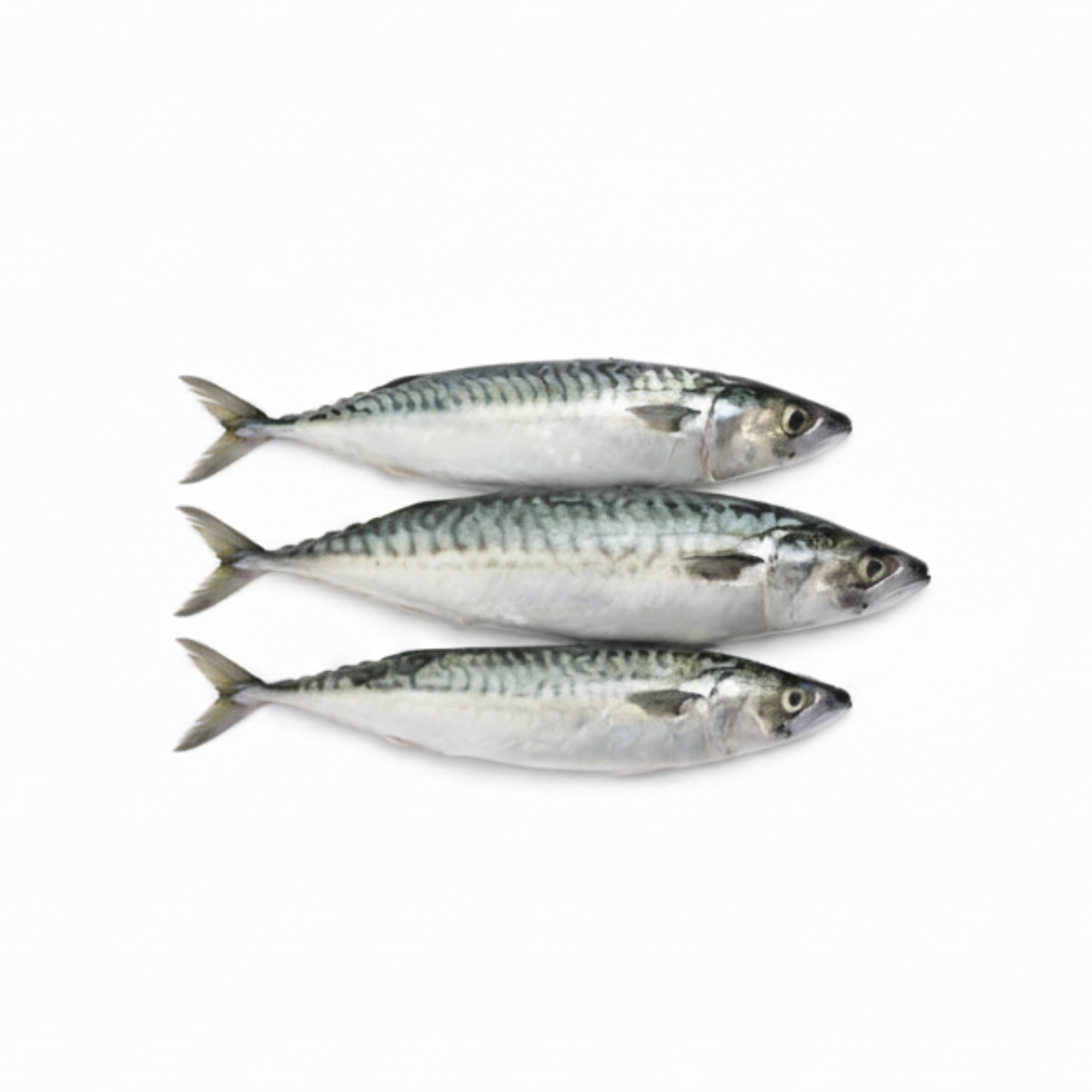 Ikan Kembung Banjar 400gram