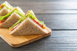 VEGETABLE SANDWICH 