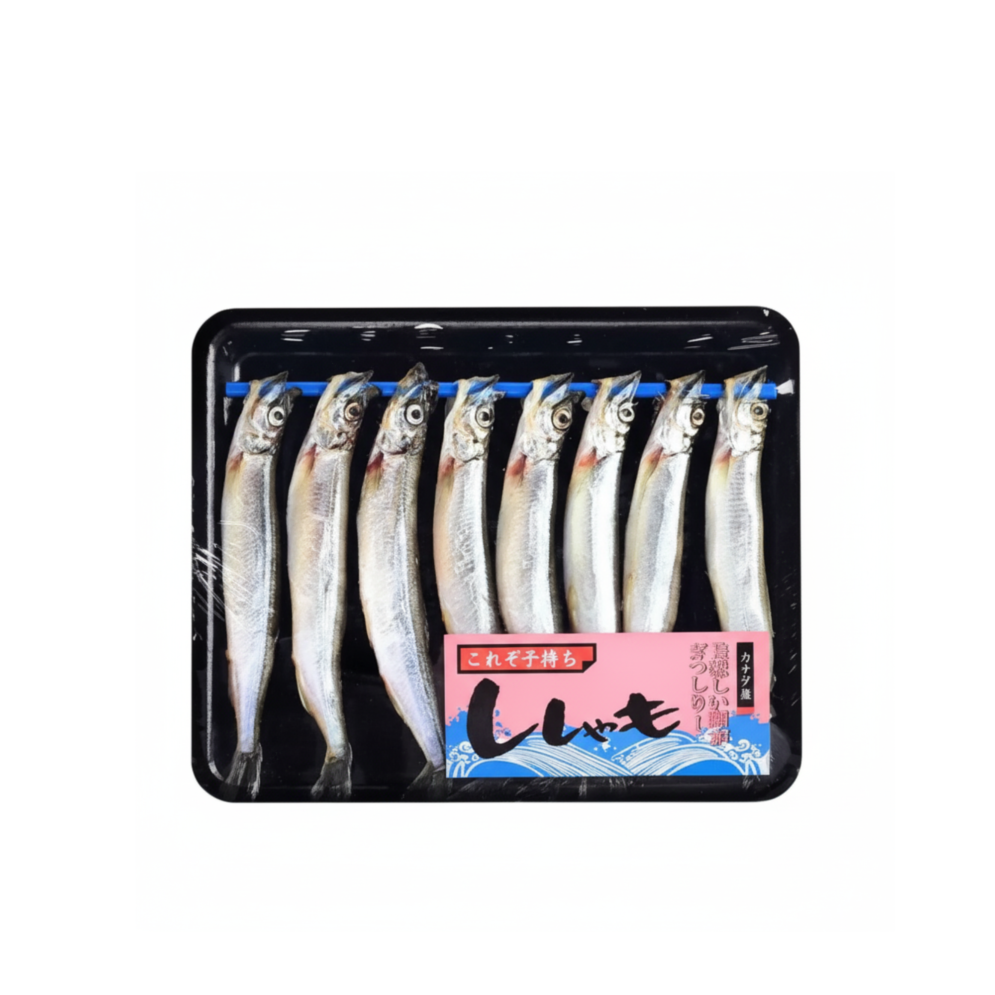 Ikan Shishamo Telur 160gram_0