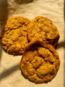 Gulten Free Sourdough Cookies 