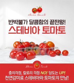 Stevia Tomato (sweet tomato) 甘いトマト 스테비아 토마토