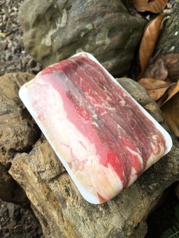 Brisket Slice