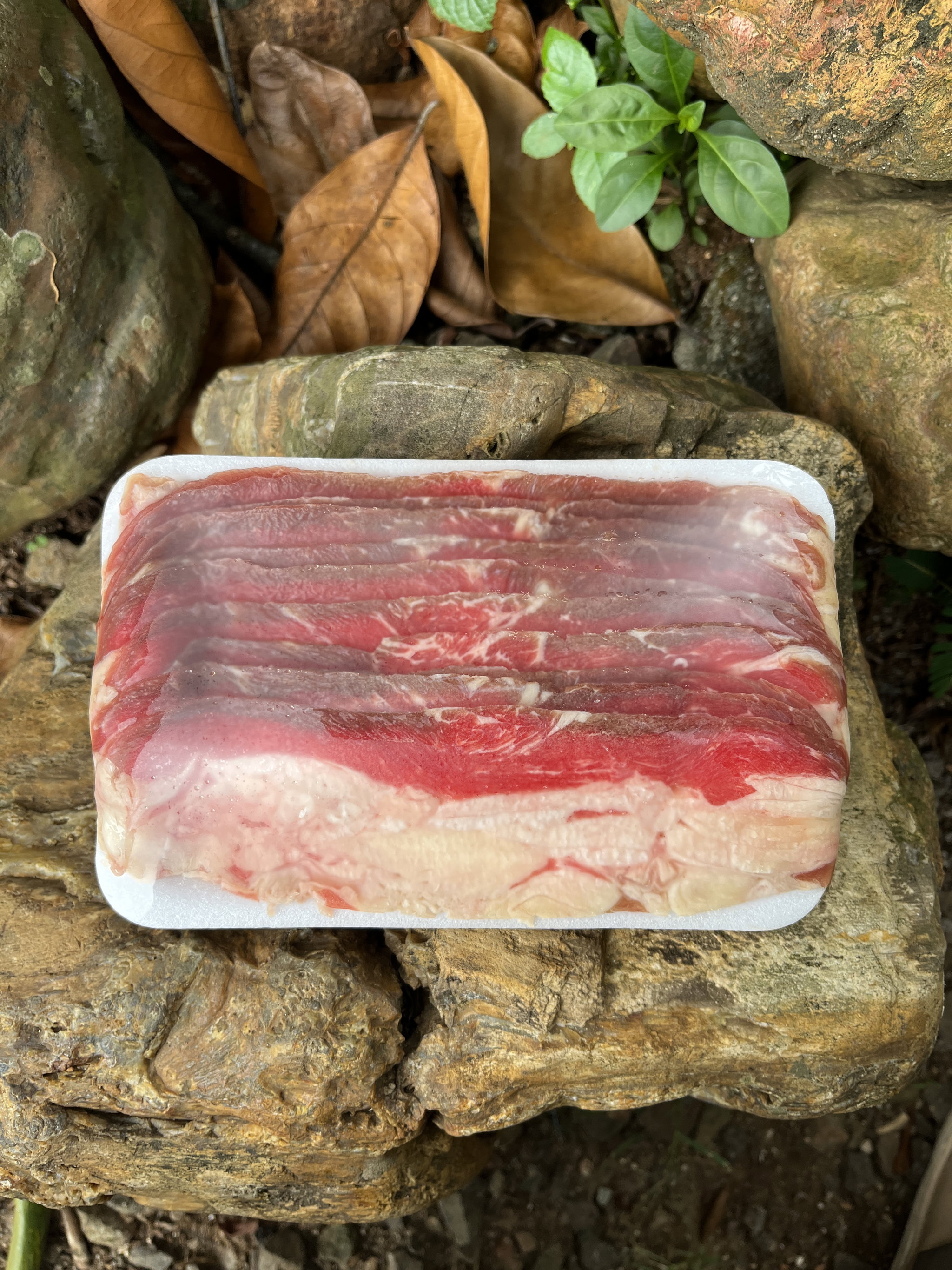 Brisket Slice_0
