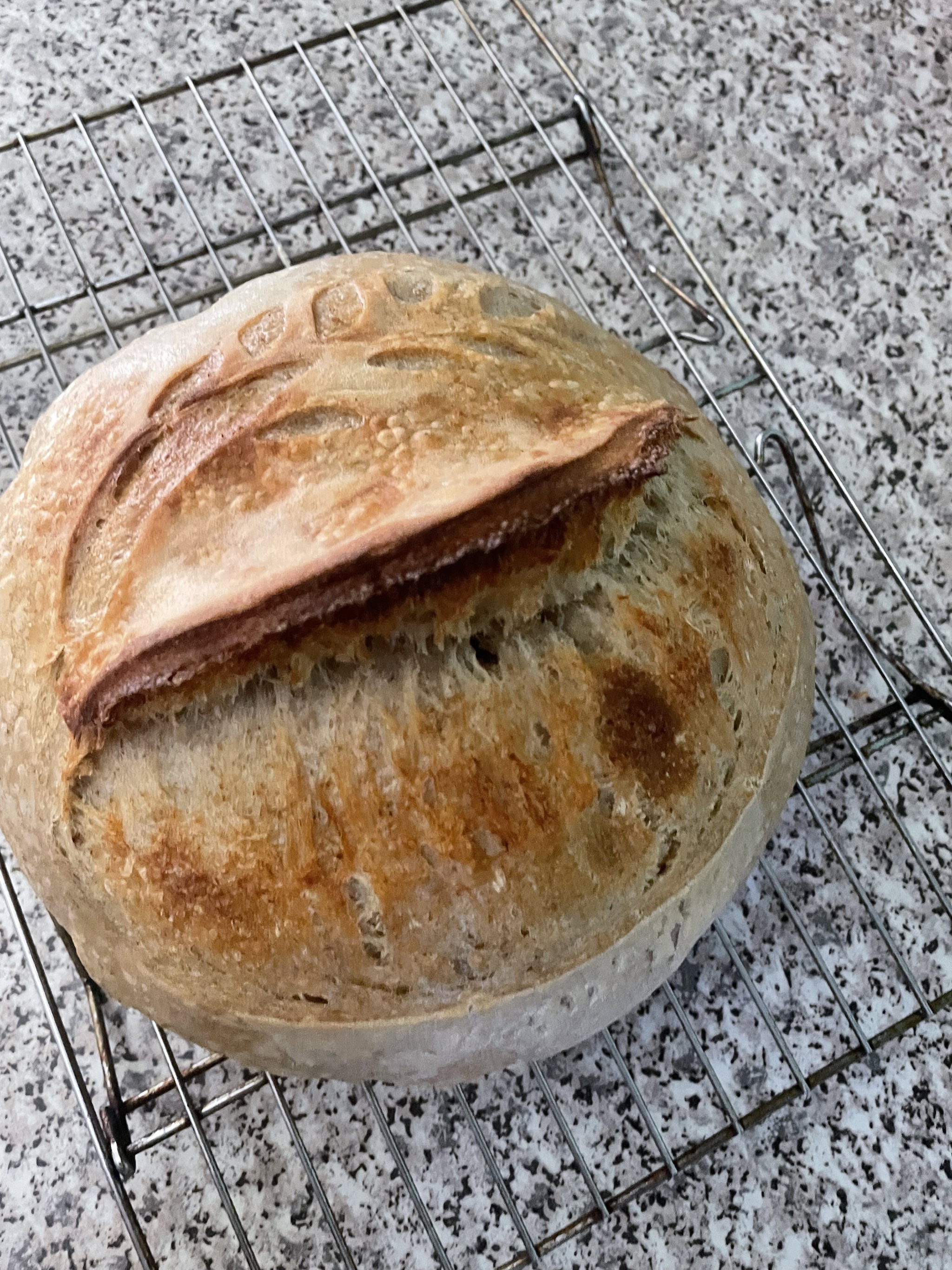 Sourdough Artisan Bread_1