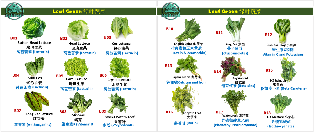 B01- 18 Leaf Green (View Product Image here!)