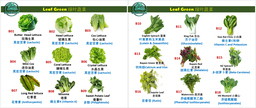 B01- 18 Leaf Green (View Product Image here!)