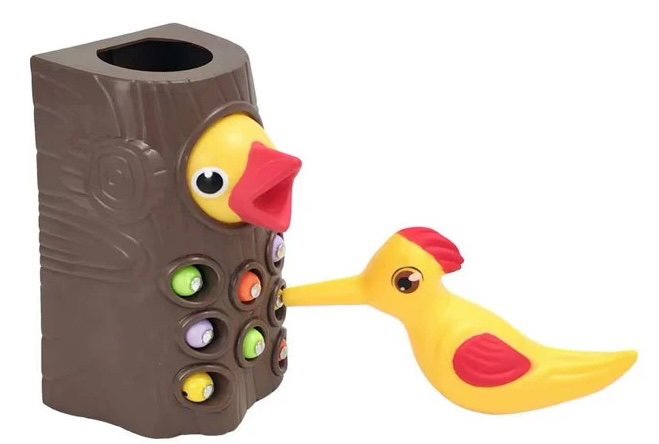 Bird Feeding