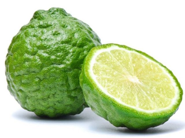 Malimau fungu