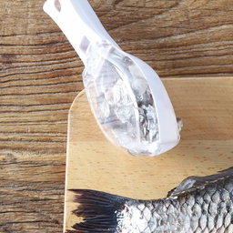 Grattoir de poisson 