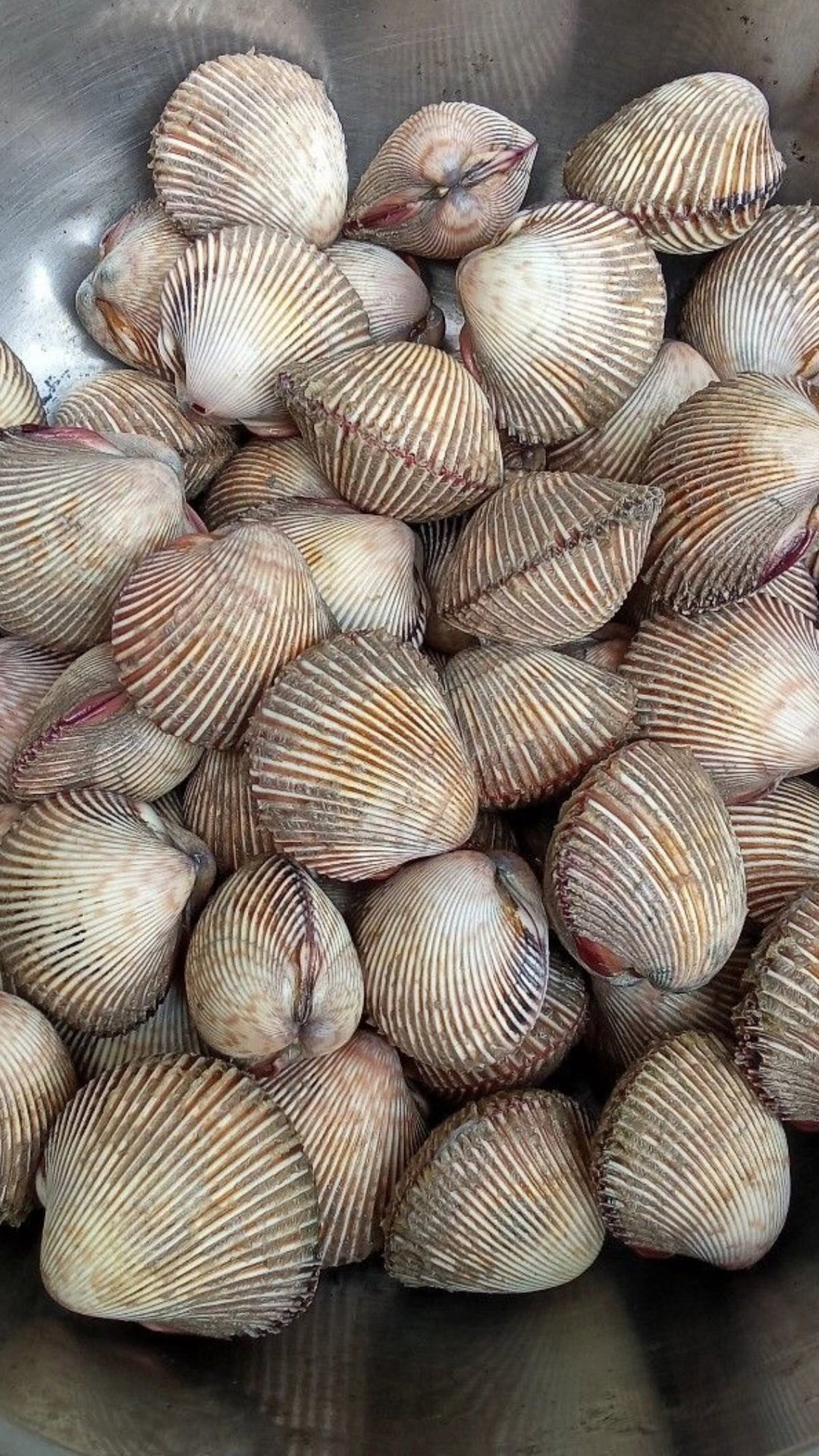 ងាវ