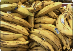 plantain from west Africa 