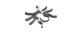 Spider 2 outline Cookie Cutter  