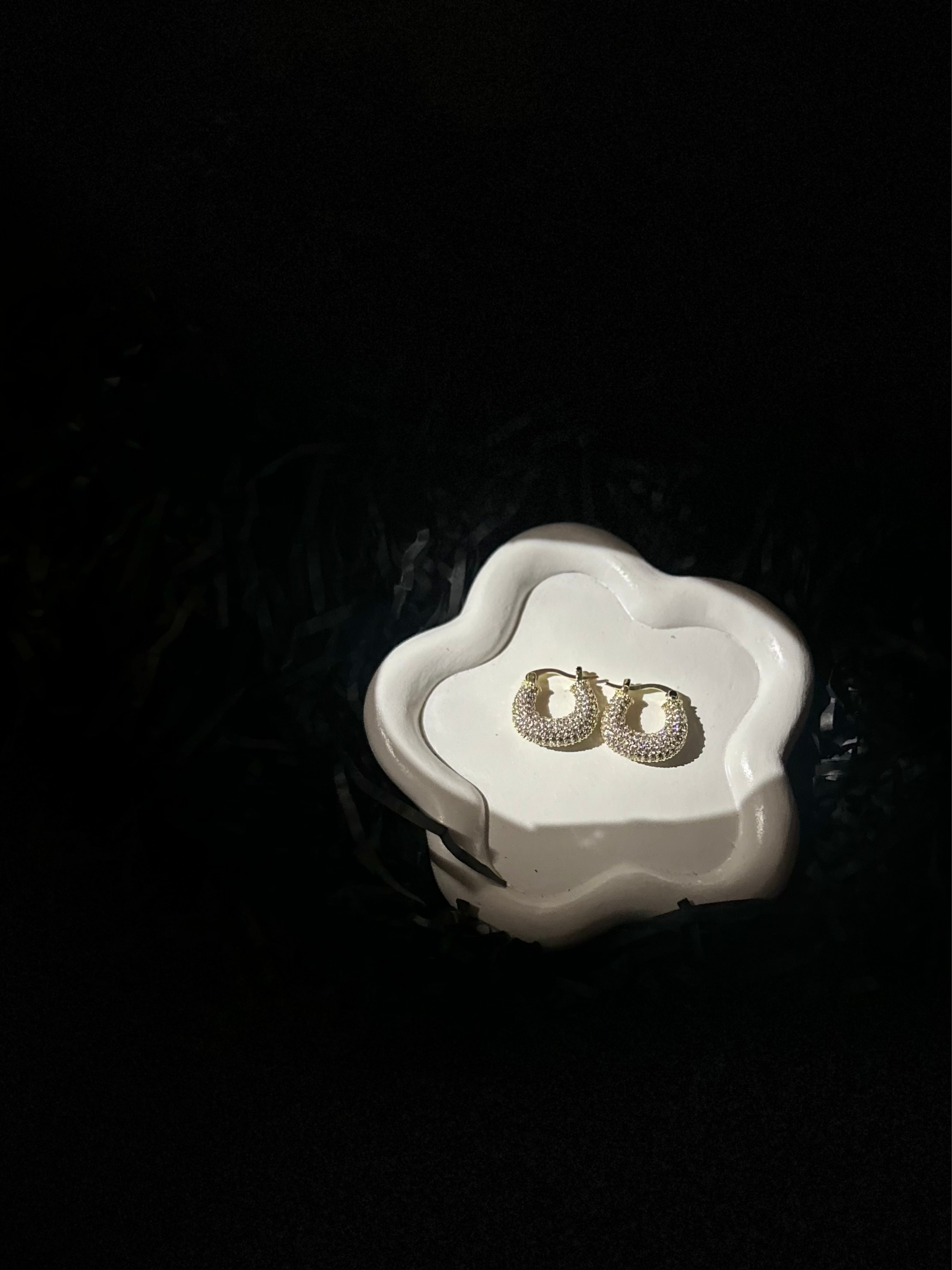 Elegant Hoops_1