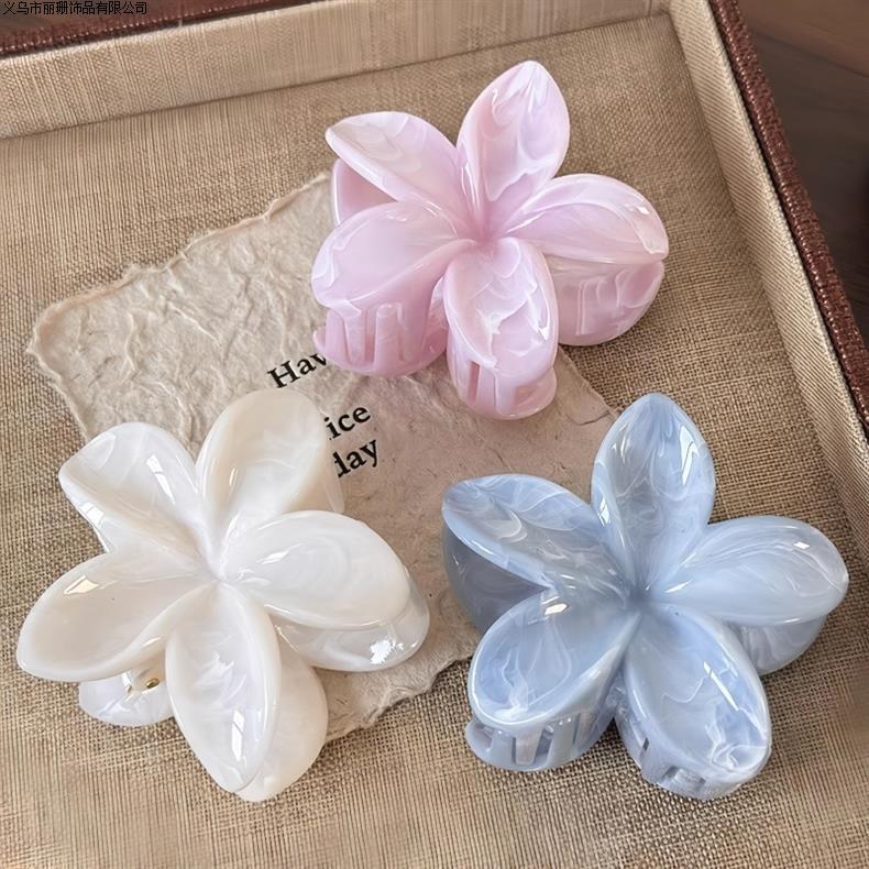 Hair clips _1