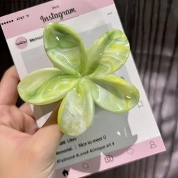 Hair clips 