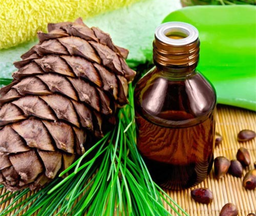 Cedarwood aceite esencial 