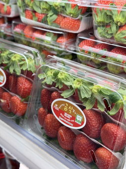 Juk Hyang Strawberry from Korea 죽향딸기