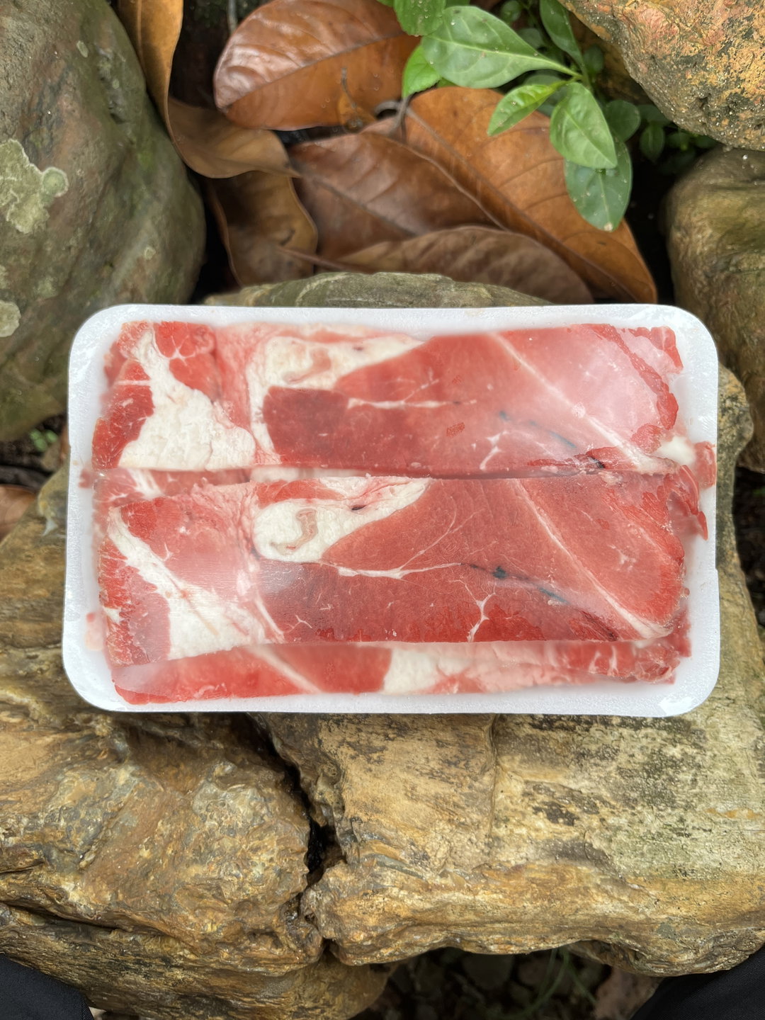 Slice Ekonomis