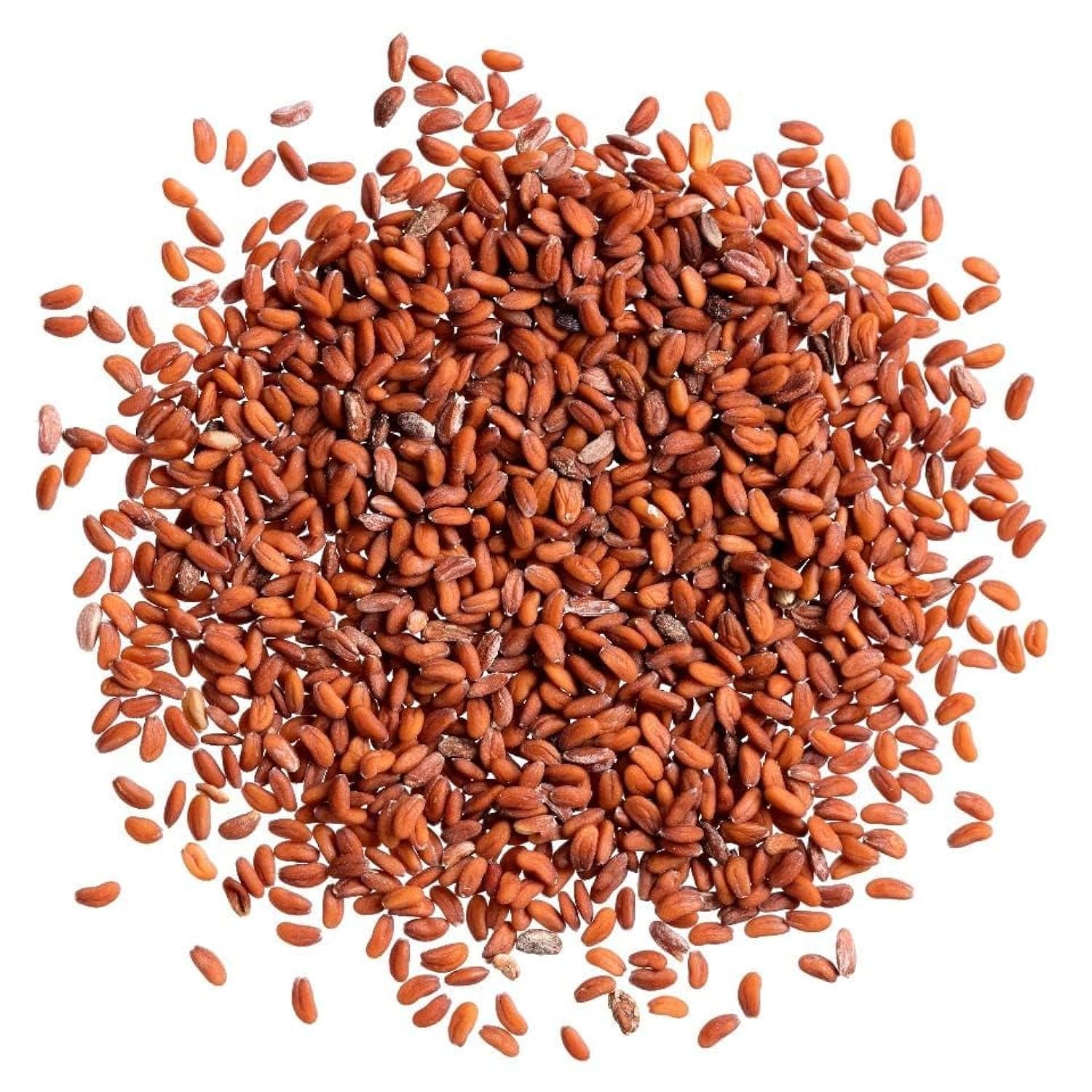 Cress seeds بزر الرشاد_0