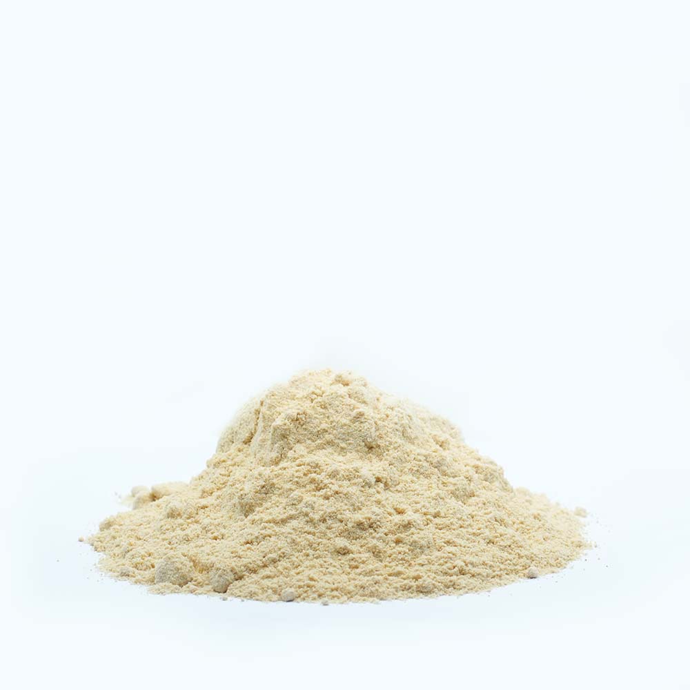 Garlic powder ثوم ناعم_0