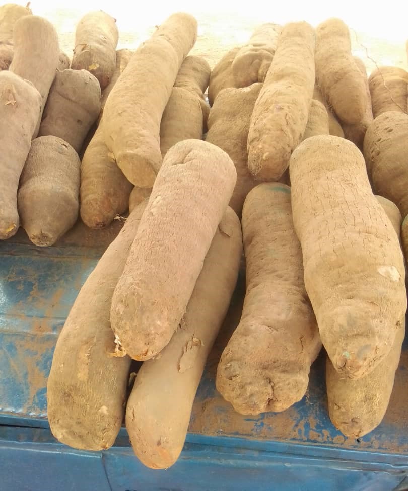 Shop Fresh Organic Foods – Delivered Fast!_5