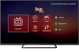 IBO Pro Player Annual License
