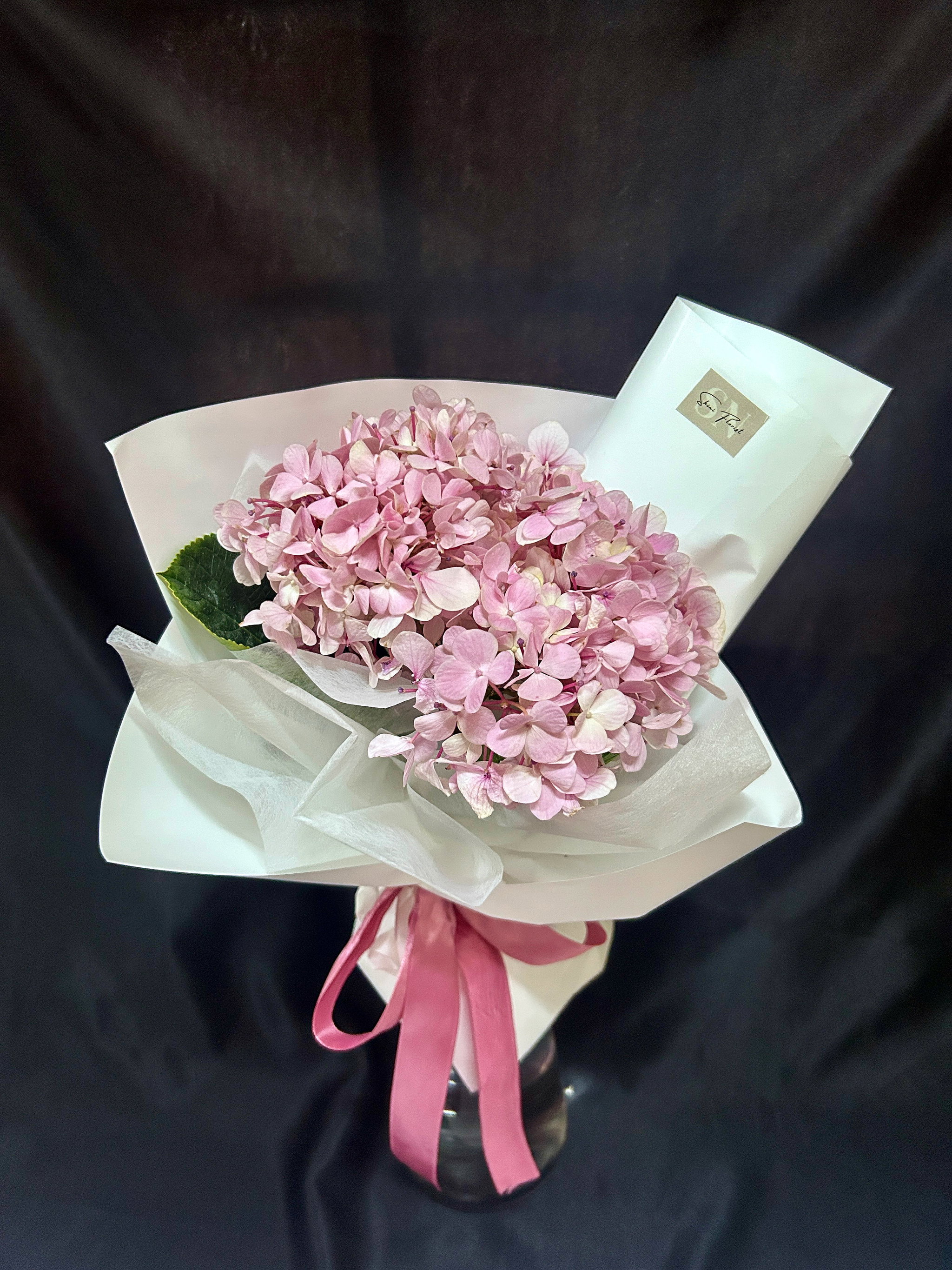 Hydrangea Dream_0