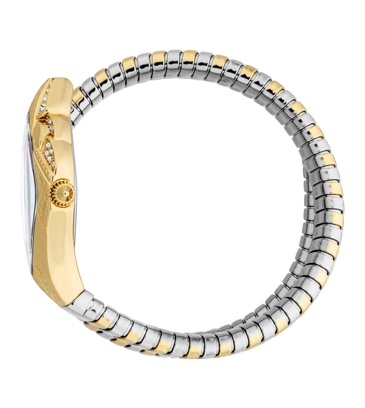 JUST CAVALLI JC1L306M0065_1