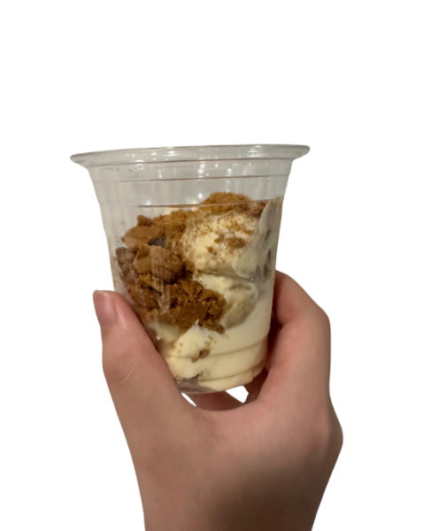 Banana pudding !