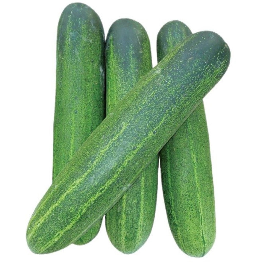 Cucumber _0