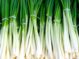 Escallion 
