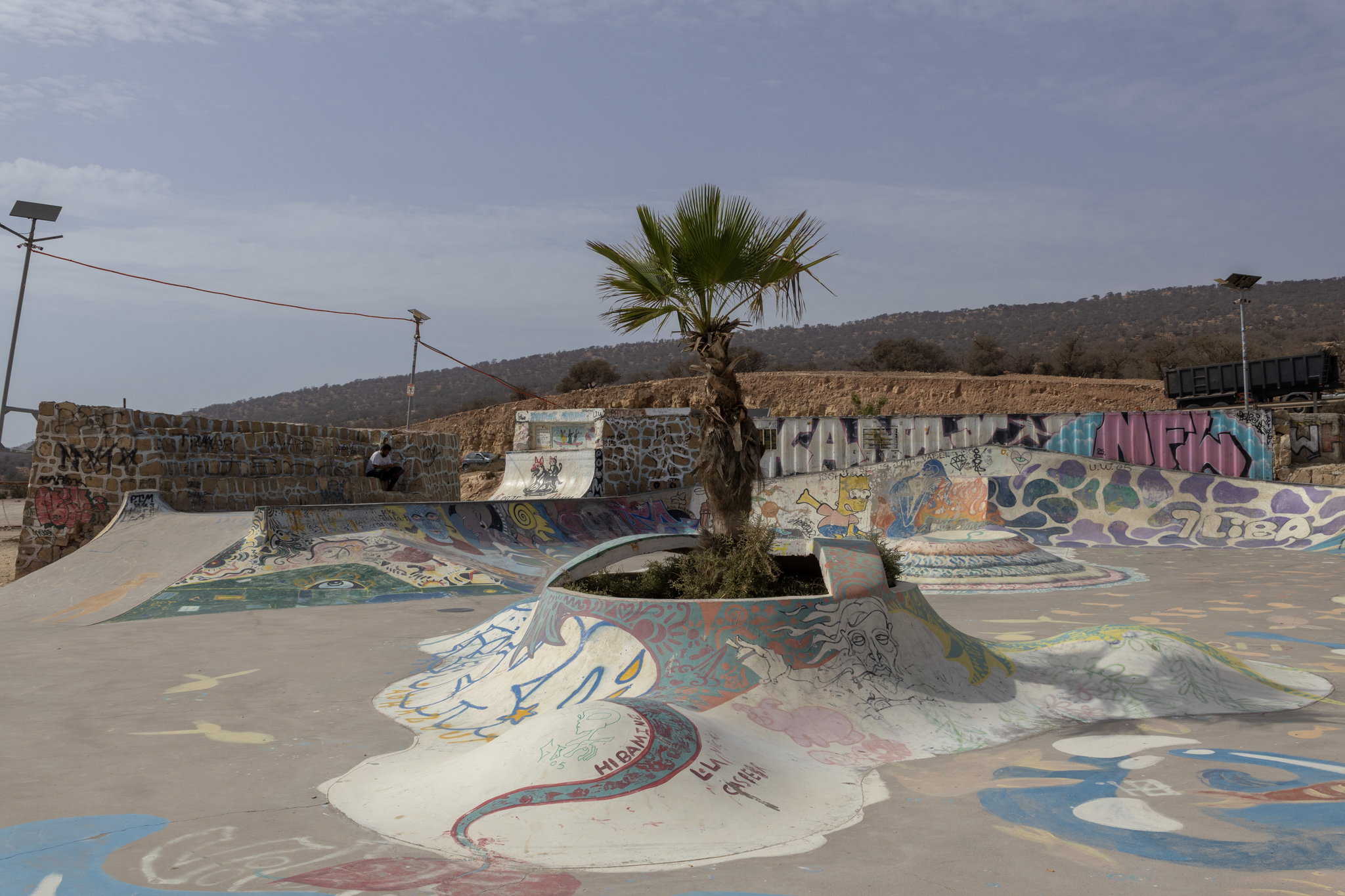 Surf Skate Lessons _2