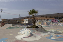 Surf Skate Lessons 