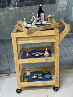 Massage/Skin Care  Wooden Trolley + Drawer