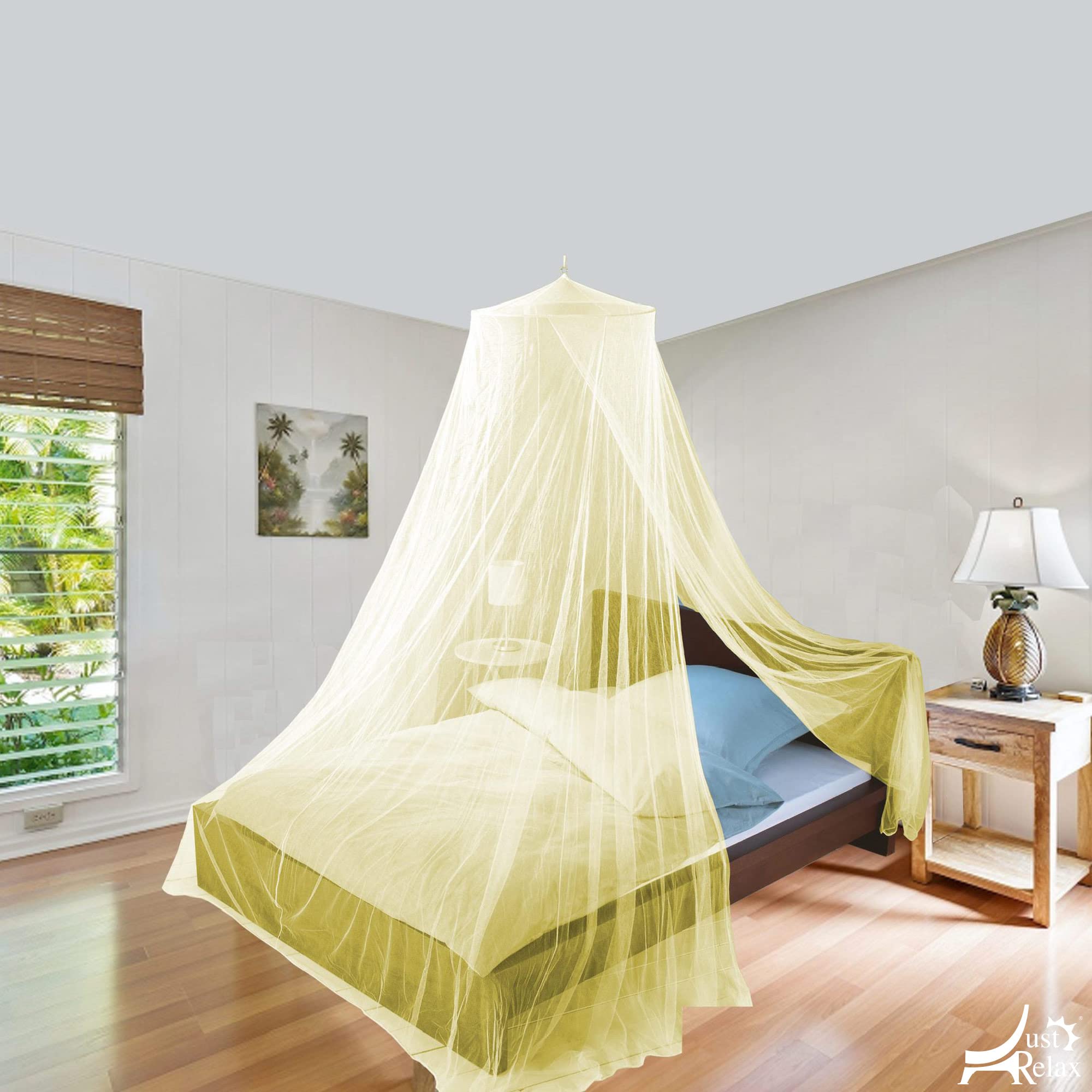 Mosquitero _3