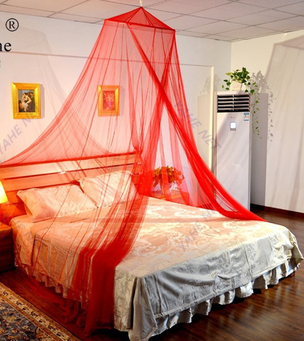 Mosquitero _8