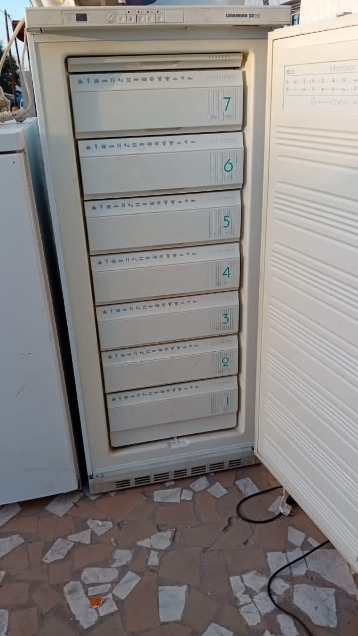 Frigo_0