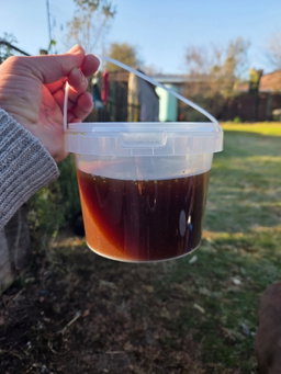 1kg Raw honey