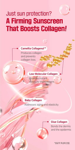 ROUND LAB Camellia Deep Collagen Firming Sun Serum