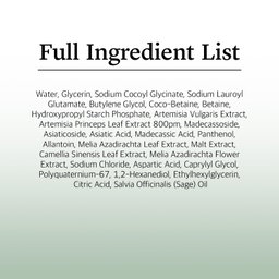 ROUND LAB Mugwort Calming Cleanser