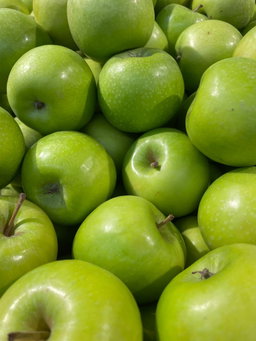 Manzana Verde