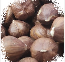 Raw hazelnut بندق ني
