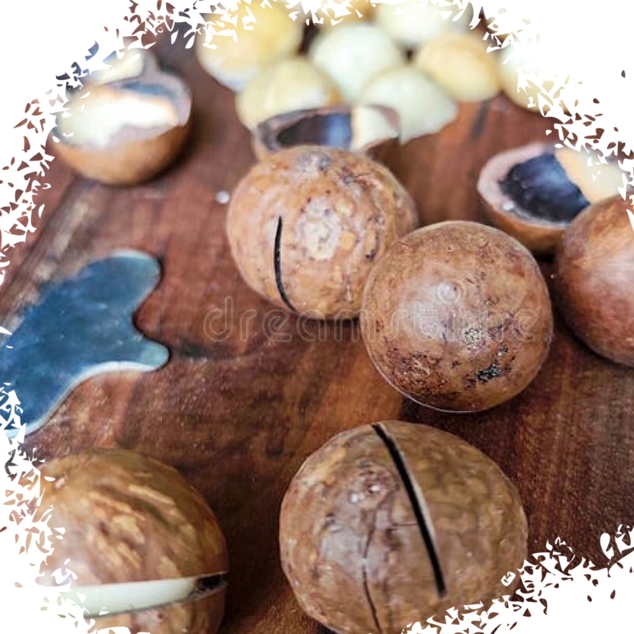 Unshelled macadamia ماكاداميا ب قشرو_0