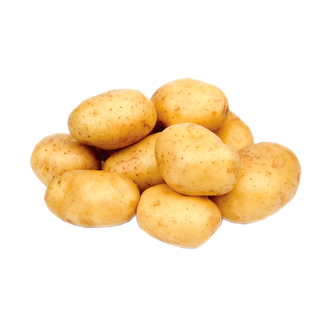 Papa Blanca