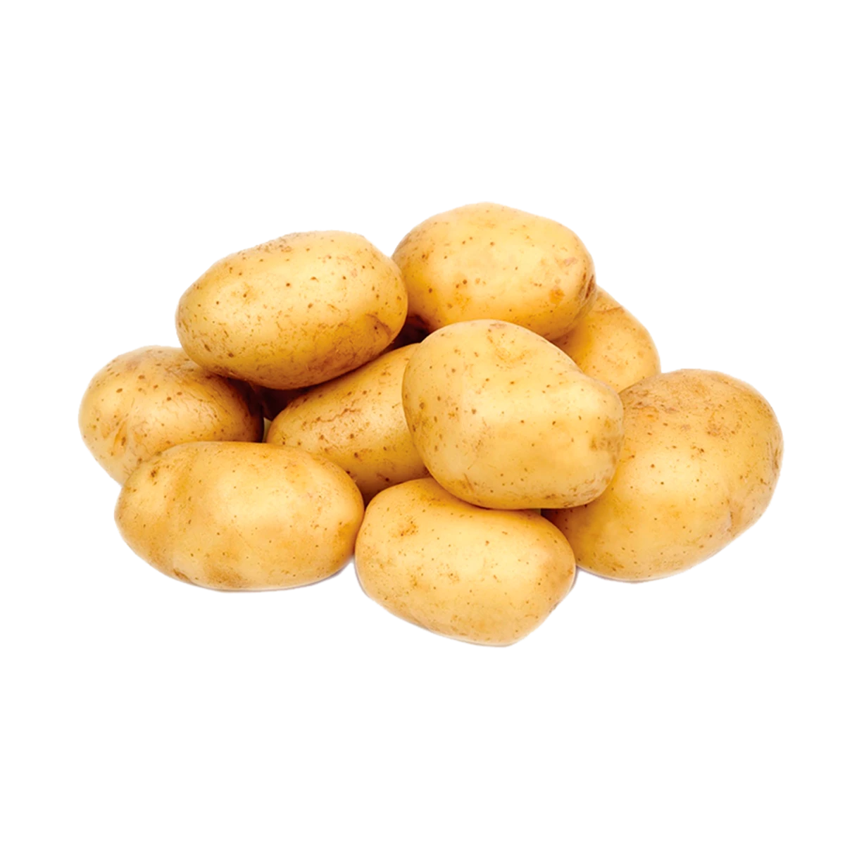 Papa Blanca_0