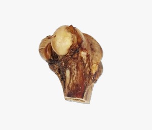 Grass Fed Beef Patella / Beef Knee Bones (Tulang Dengkul) 1kg_2