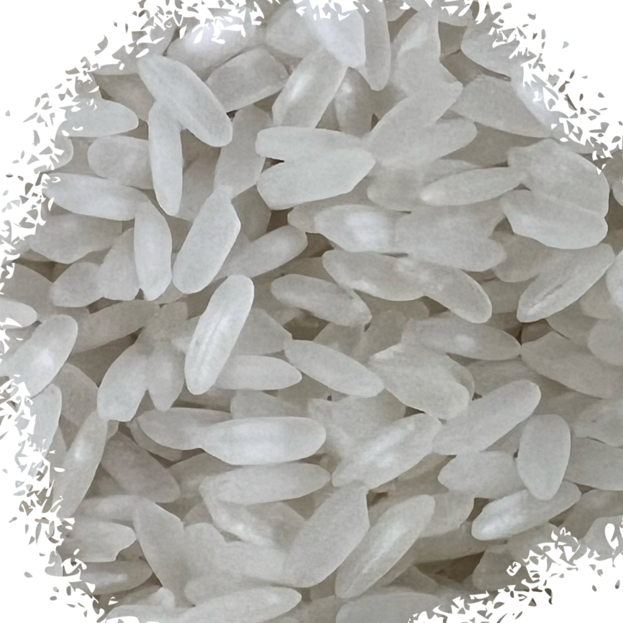 Italian rice رز ايطالي _0